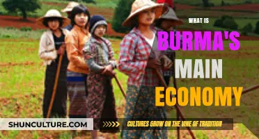 Exploring Burma's Economic Backbone: A Comprehensive Overview