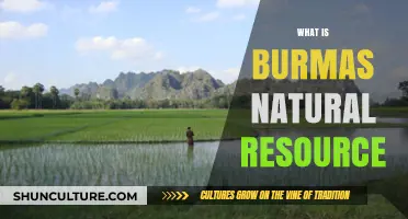 Unlocking Myanmar's Wealth: A Deep Dive into Its Natural Resources