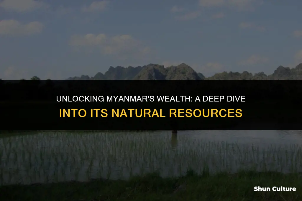 what is burmas natural resource