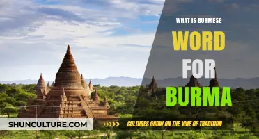 Exploring Myanmar: Unveiling the Local Term for Burma