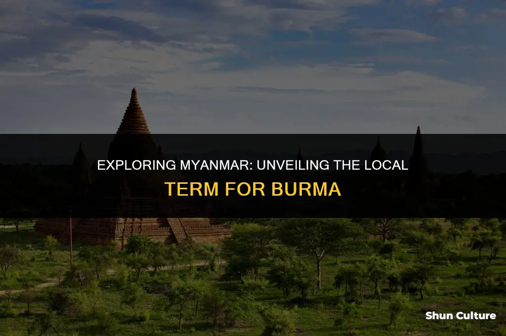 what is burmese word for burma