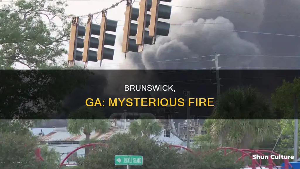 what is burning in brunswick ga