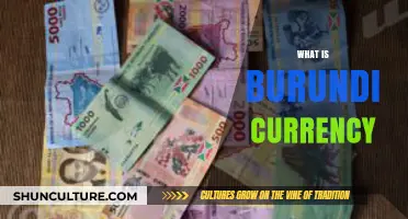 Exploring the Burundian Franc: A Comprehensive Guide to Burundi's Currency