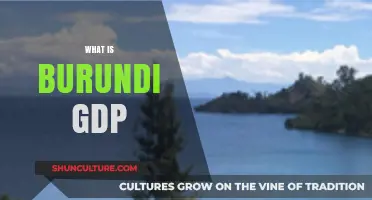 Exploring Burundi's Economic Pulse: A GDP Analysis