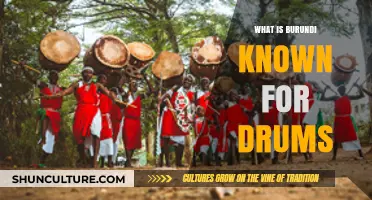 Rhythmic Echoes: Burundi's Renowned Drumming Tradition Unveiled