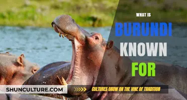 Exploring Burundi: A Land of Natural Wonders and Cultural Riches