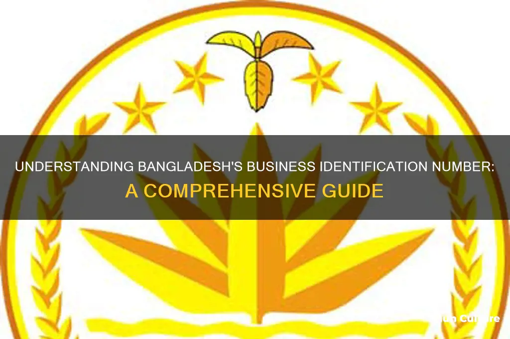 what is business identification number in bangladesh