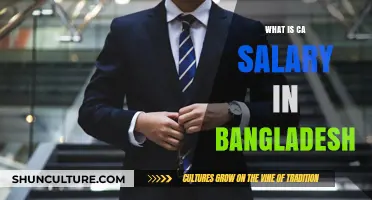 Exploring Chartered Accountant Salaries in Bangladesh: Trends and Insights