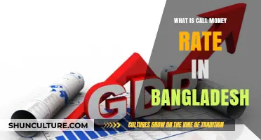 Understanding Bangladesh's Call Money Rate: Definition, Impact, and Importance