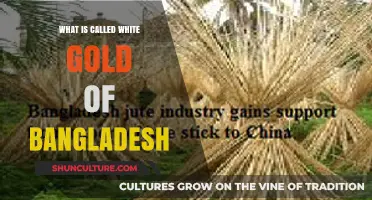 White Gold of Bangladesh: Unveiling the Secrets of Jute's Economic Power