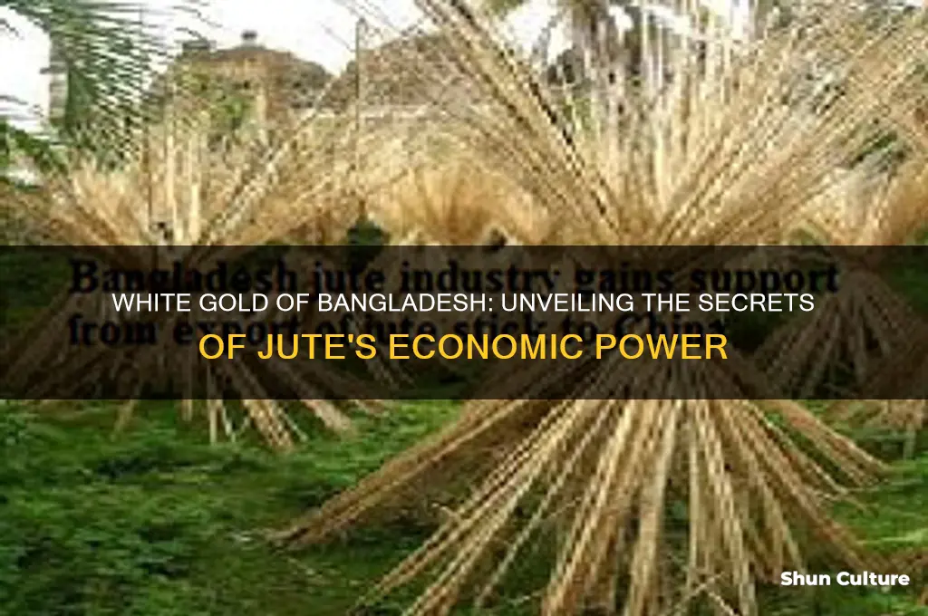 what is called white gold of bangladesh