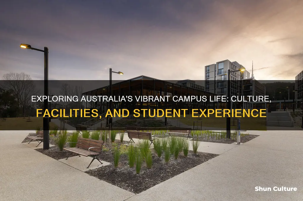 what is campus like australia