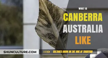 Exploring Canberra, Australia: Culture, Nature, and Urban Charm Revealed