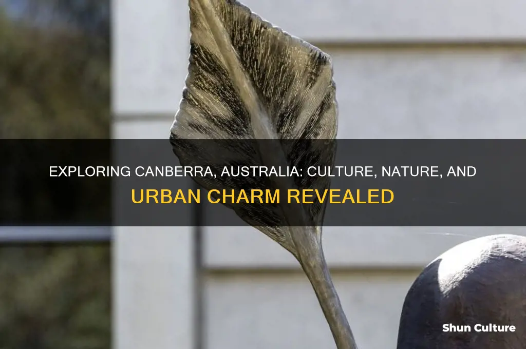 what is canberra australia like