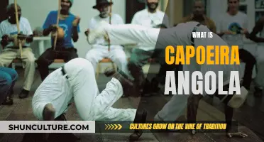 Capoeira Angola: A Traditional Afro-Brazilian Martial Art