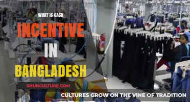 Understanding Cash Incentives in Bangladesh: Benefits, Eligibility, and Impact