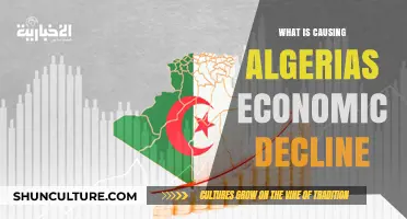 Unraveling Algeria's Economic Decline: Key Factors and Challenges
