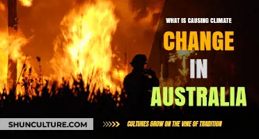 Climate Change in Australia: Human Impact and Solutions