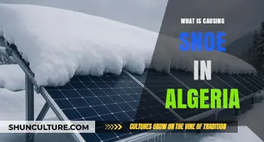 Unraveling the Mystery: What's Causing Snow in Algeria?