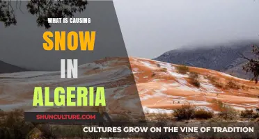 Unusual Snowfall in Algeria: Exploring the Surprising Causes and Impacts