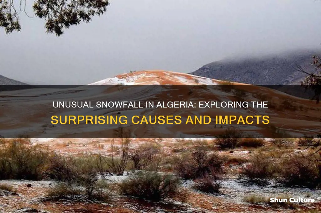what is causing snow in algeria