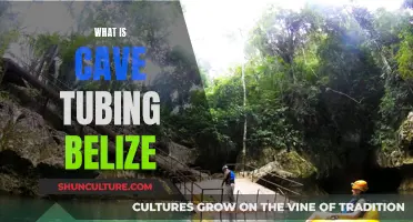 The Ultimate Adventure: Exploring Belize's Underground Cave Systems by Tube