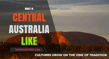 Exploring Central Australia: Landscapes, Culture, and Unique Experiences