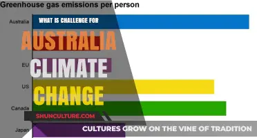 Australia's Climate Change Challenge: A Tough Road Ahead