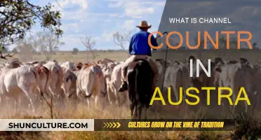 Channel Country: Australia's Unique Outback Waterways