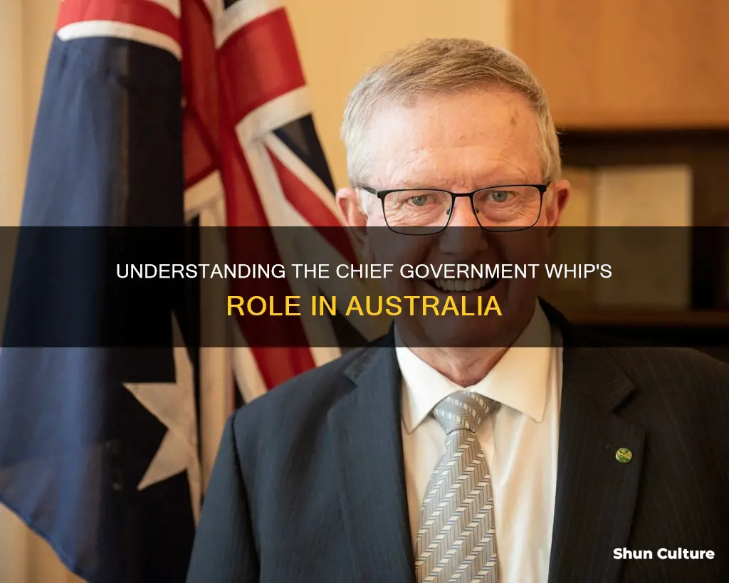 what is chief government whip australia