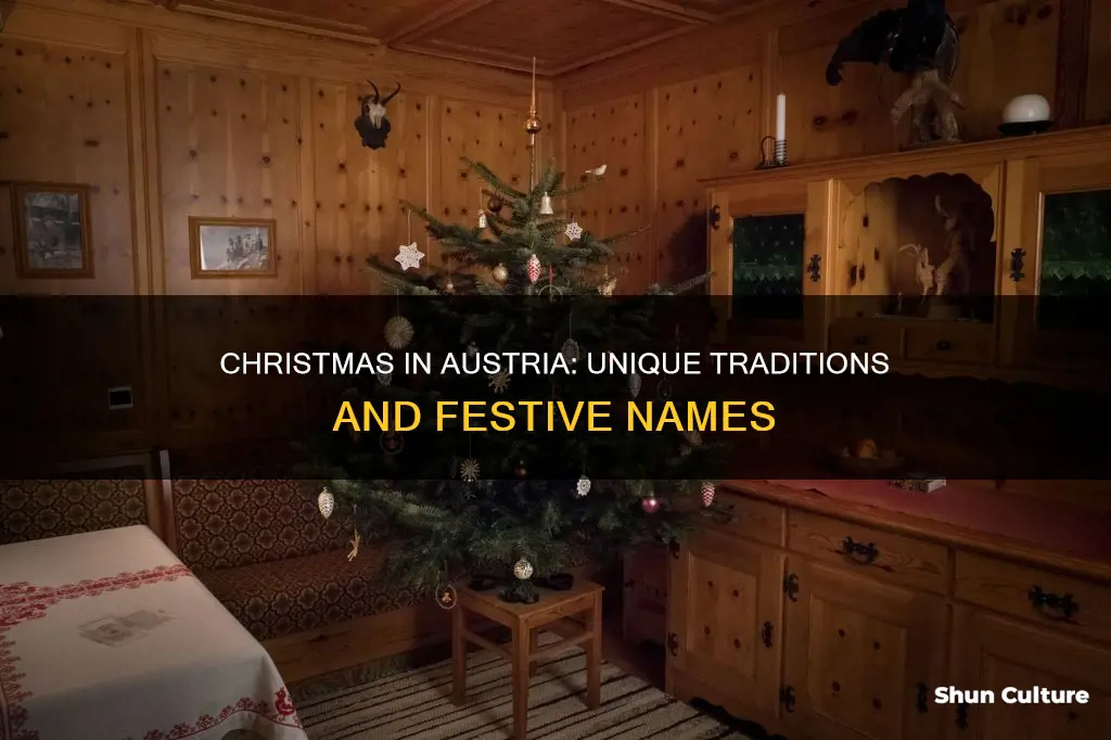 what is christmas called in austria