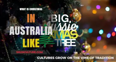 A Sunny Christmas Down Under