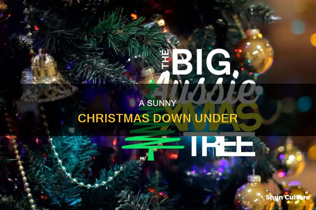 what is christmas in australia like