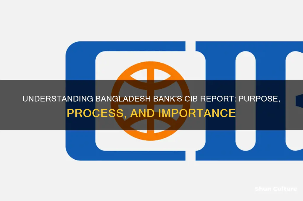 what is cib report of bangladesh bank