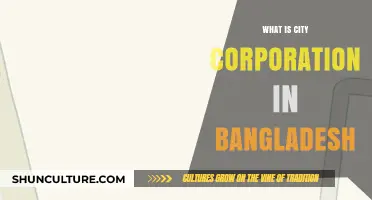 Understanding Bangladesh's City Corporations: Structure, Functions, and Roles