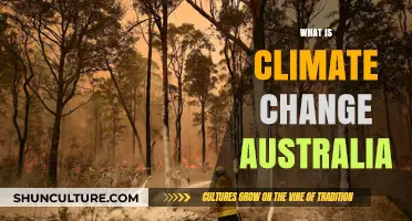 Climate Change: Australia's Urgent Reality