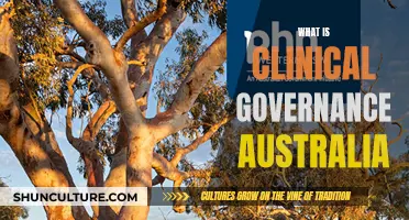 Clinical Governance in Australia: Framework for Quality Care