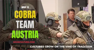 Unraveling the Mystery: Cobra Team Austria's Mission and Impact