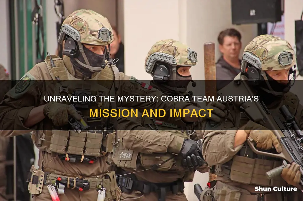 what is cobra team austria