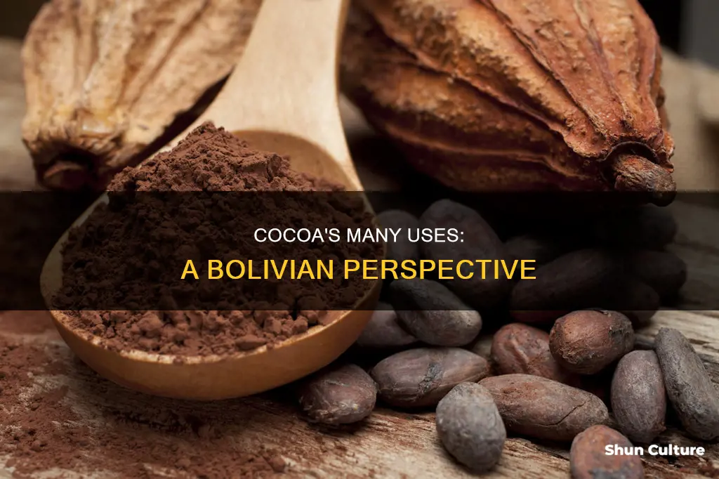 what is cocoa used for in bolivia