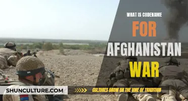 The Secret War: Unveiling Afghanistan's Codename