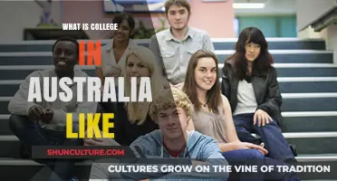 Exploring Australian College Life: Culture, Academics, and Campus Experience