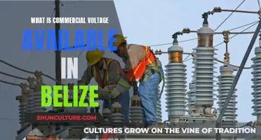 Voltage Standards in Belize: Understanding Commercial Electrical Systems