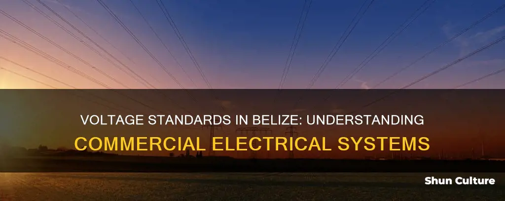 what is commercial voltage available in belize