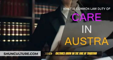 Understanding Duty of Care in Australian Common Law