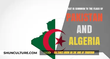 Shared Symbols: Exploring the Common Elements in Pakistan and Algeria's Flags