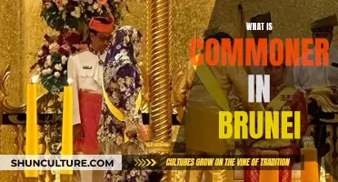 Exploring Brunei's Cultural Commonalities and Traditions