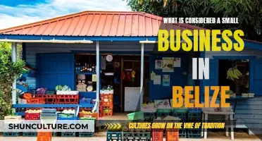 Belize's Small Business Definition: Understanding the Criteria