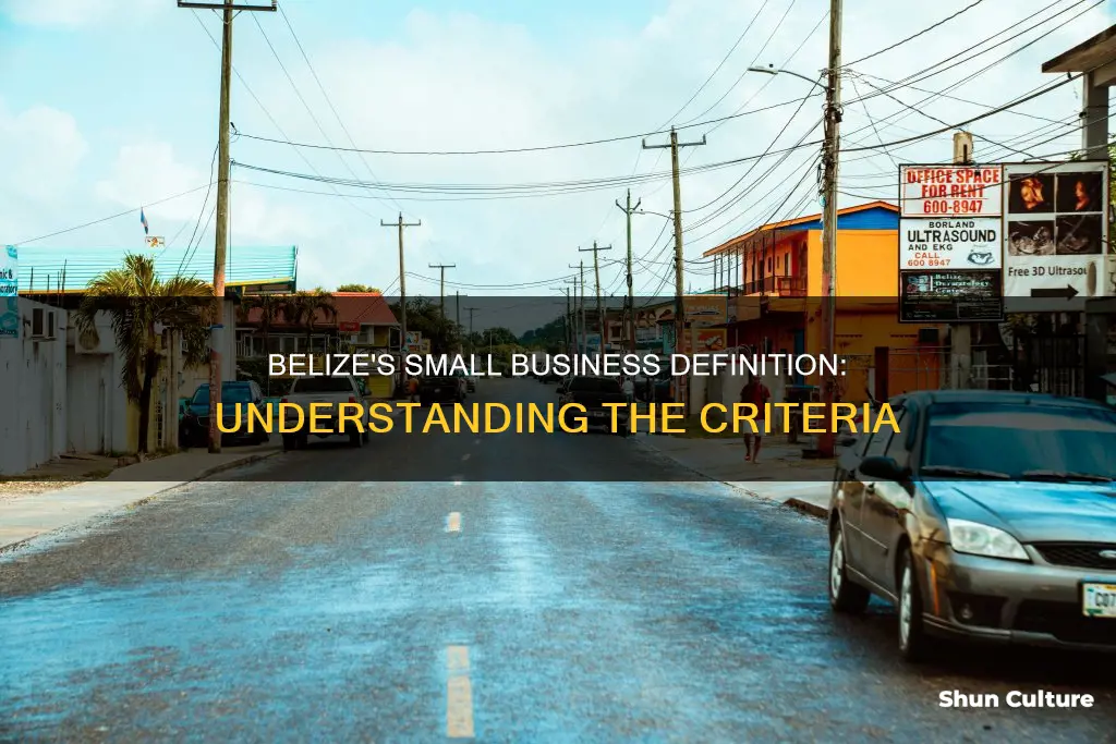 what is considered a small business in belize