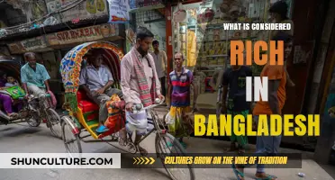 Defining Wealth: What Qualifies as Rich in Bangladesh Today?